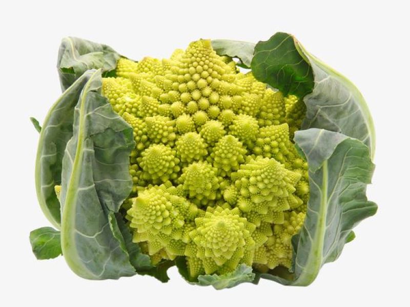 宝塔花椰菜塔花花菜绿花菜花椰菜法国花椰菜