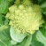 宝塔花椰菜塔花花菜绿花菜花椰菜法国花椰菜