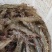 【精品】对虾活虾基围虾白虾大虾南美白对虾
