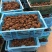 云南黑松露鲜货猪拱菌规格齐全一手货源产地直销批发