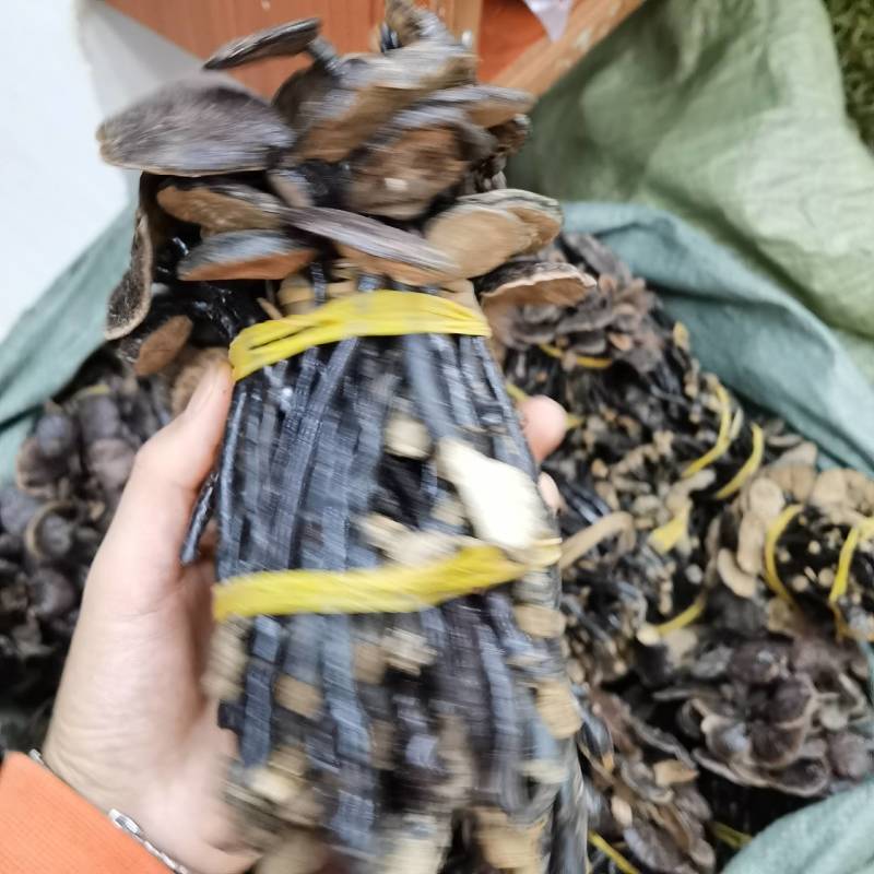 竹林芝量大从优一件代发