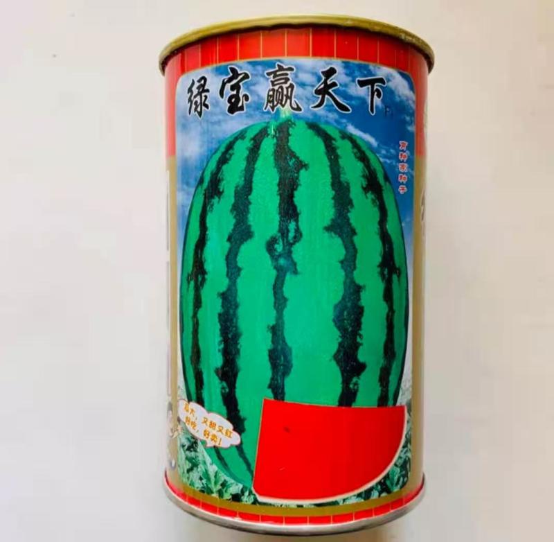 西瓜种子绿宝赢天下，抗病耐重茬中早熟大西瓜
