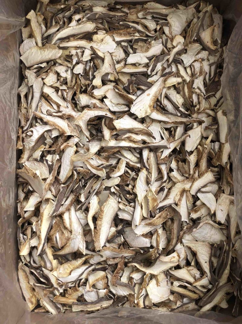 杏鲍菇食用菌干货商超餐饮酒店直供场地批发