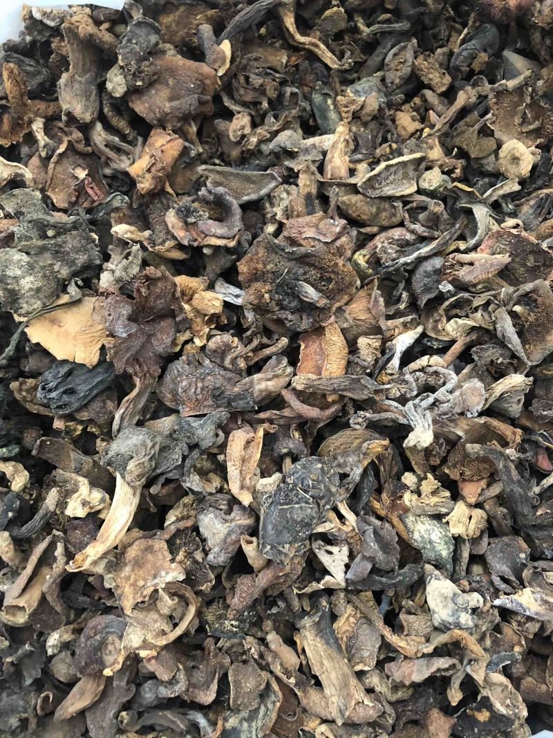 野生黑牛肝菌食用菌干货酒店火锅店熬汤专用量大从优