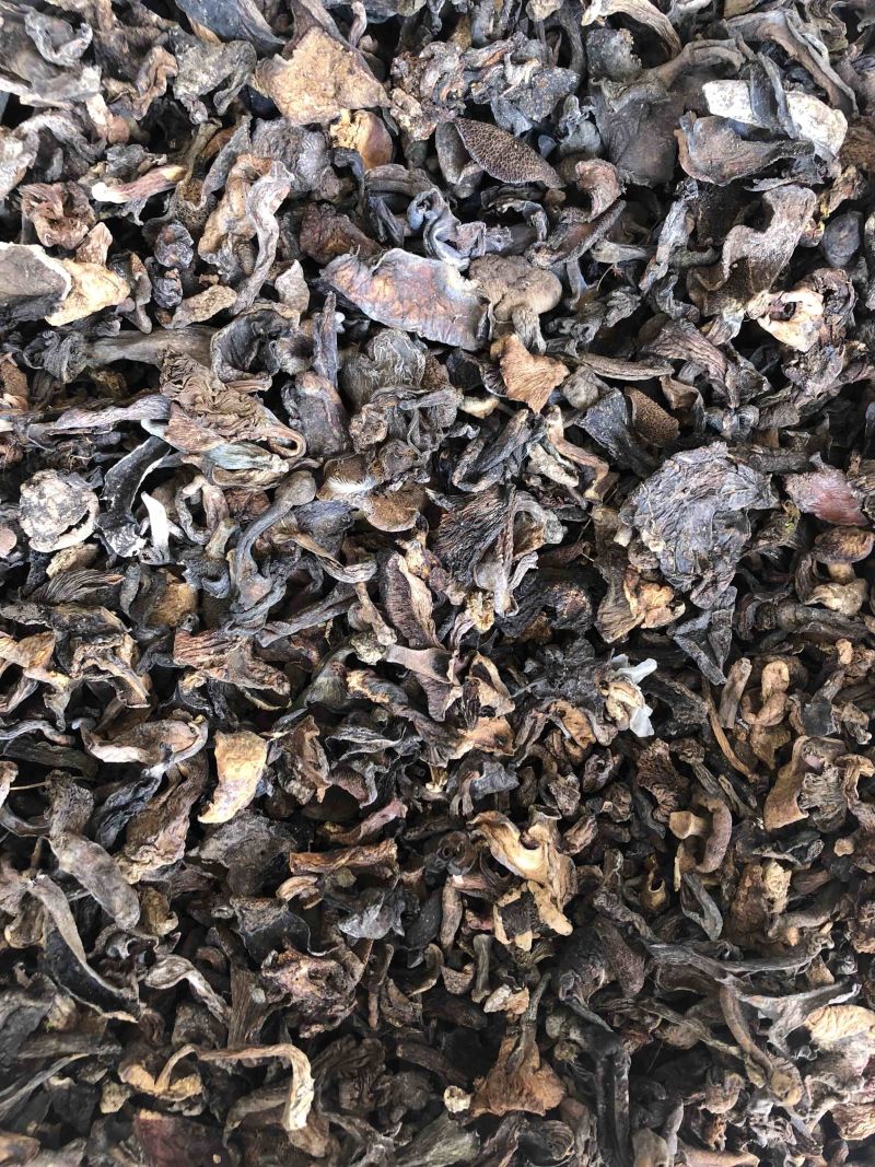 野生黑牛肝菌食用菌干货酒店火锅店熬汤专用量大从优