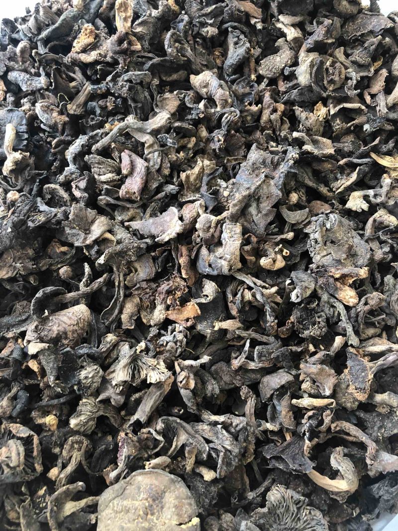 野生黑牛肝菌食用菌干货酒店火锅店熬汤专用量大从优