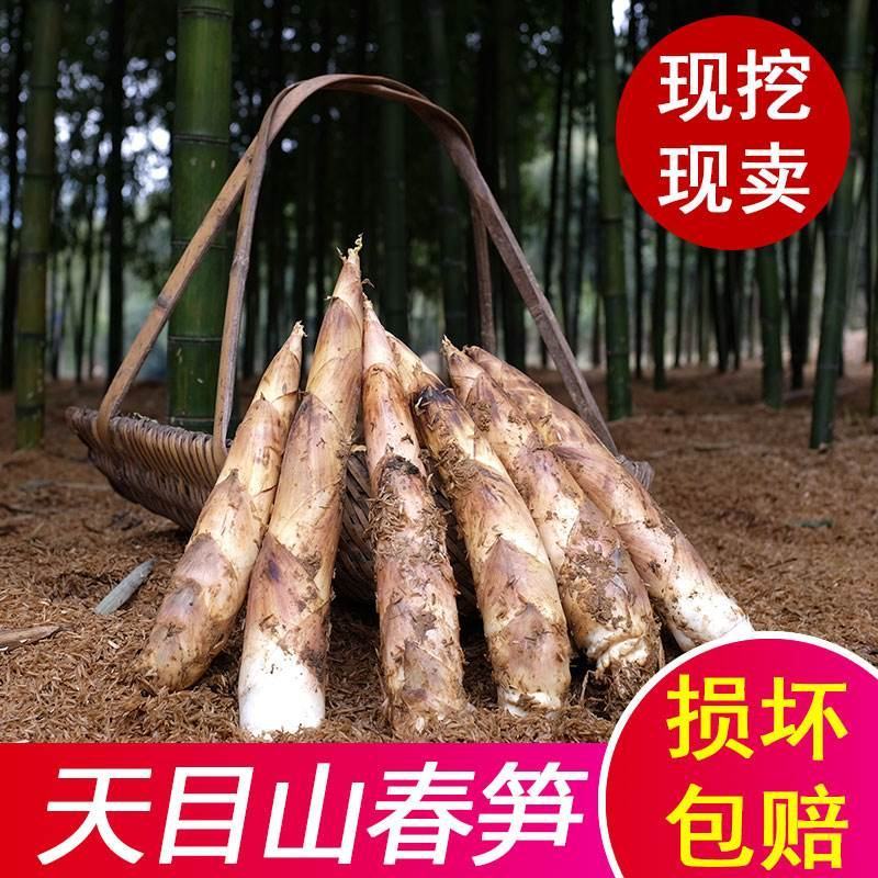 临安天目山野生笋农家日晒全干货无盐淡笋干竹笋尖小笋干