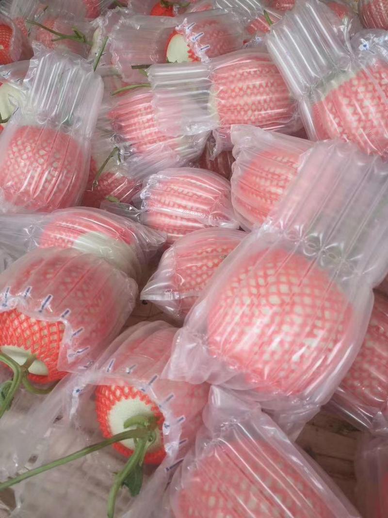 玉菇甜瓜冰淇淋蜜瓜产地货源对接各大个超市平台市场