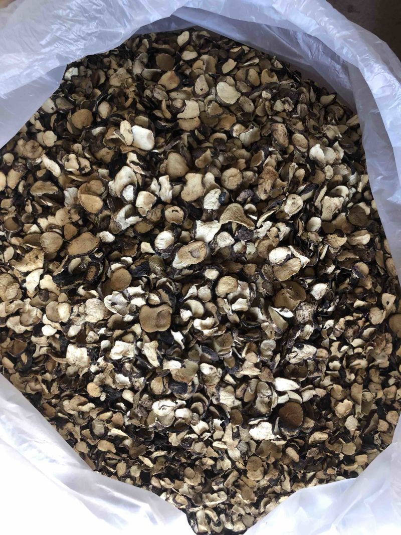 云南纯野生姬腰子仿黑松露食用菌干品产地直销批发