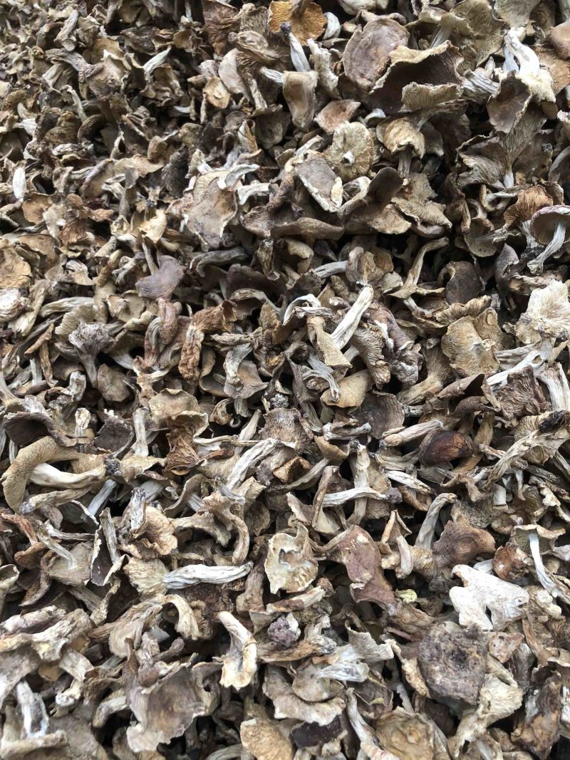 云南野生梨菇食用菌干货酸梨菇青头菌产地直销批发
