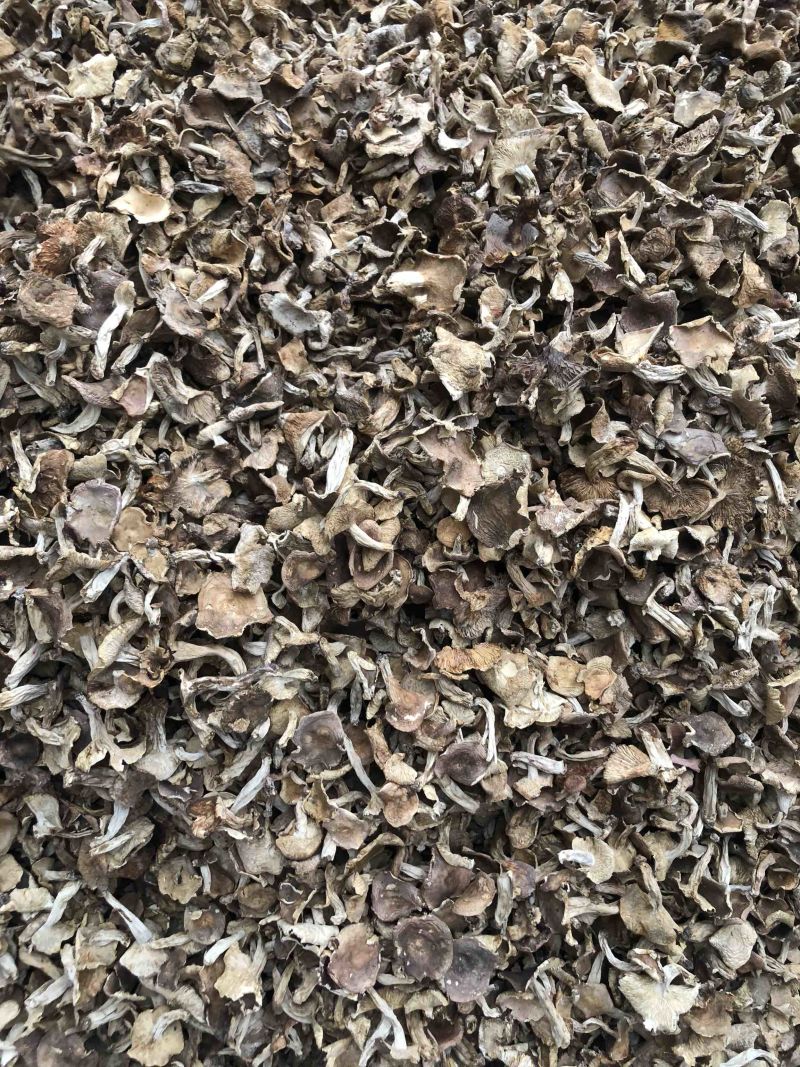 云南野生梨菇食用菌干货酸梨菇青头菌产地直销批发
