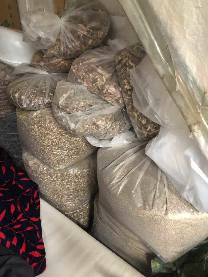 黑牛肝菌黄牛干菌美味牛干菌碎片加工酒店火锅底料熬汤料
