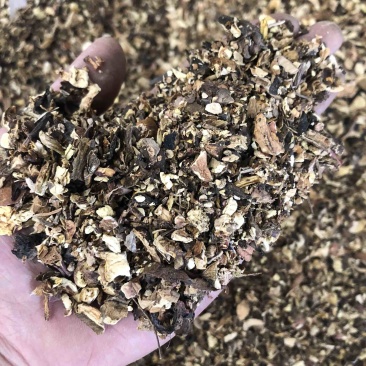 黑牛肝菌黄牛干菌美味牛干菌碎片加工酒店火锅底料熬汤料