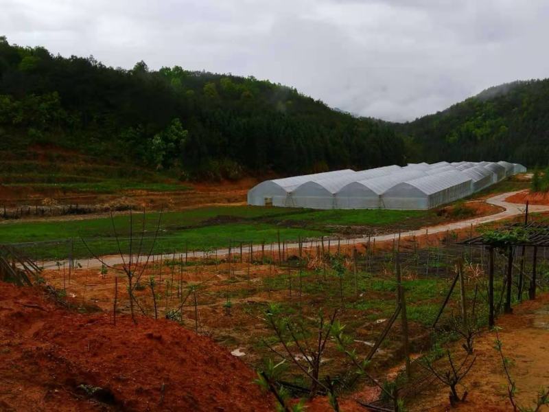 农场出售或共同经营，水电路网全通