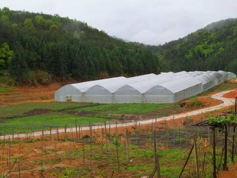 农场出售或共同经营，水电路网全通