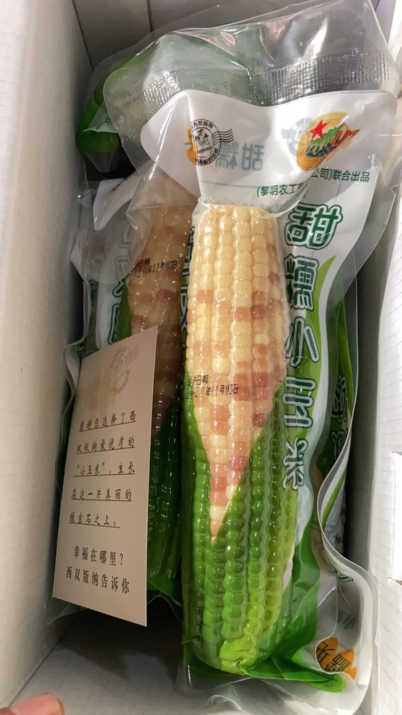 🌽西双版纳甜糯小玉米（糯觅），工厂直营，欢迎对接！