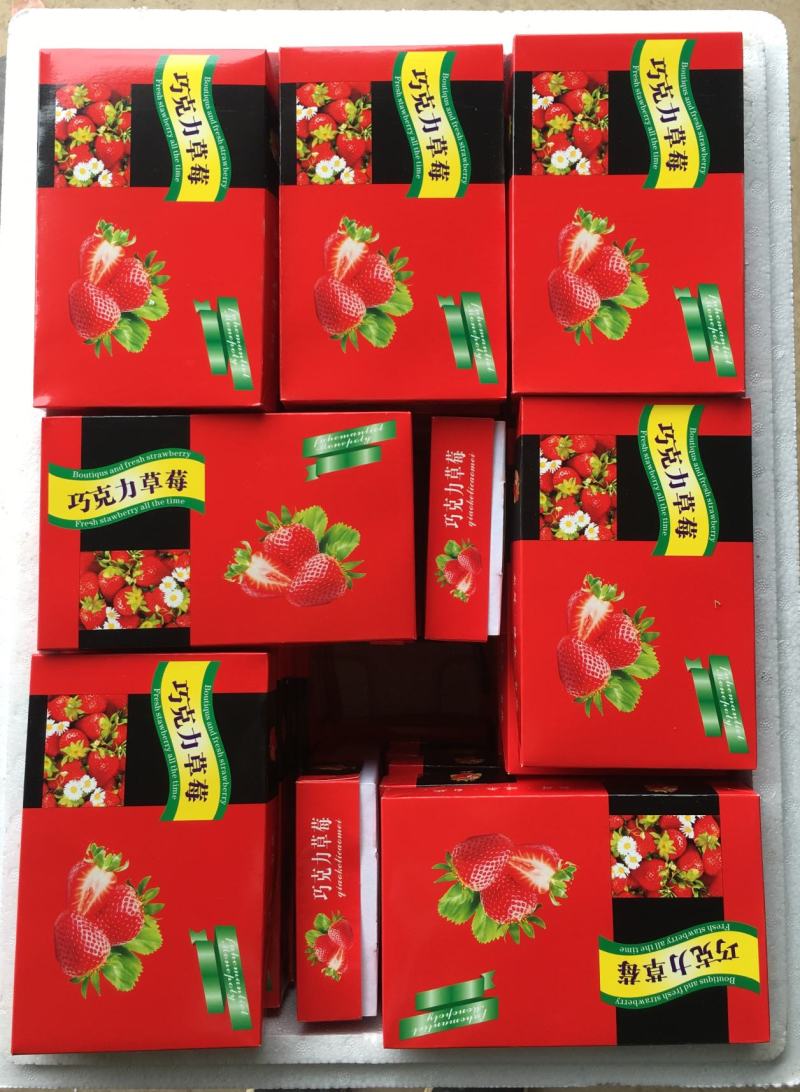 冬草莓盒装双流冬草莓烘培茶饮航空物流包邮