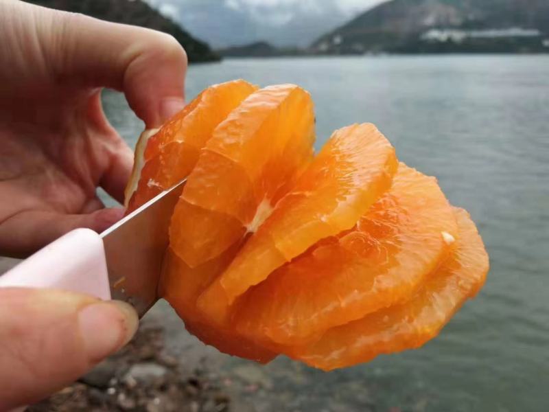 冰糖橙的甜蜜三峡秭归纽荷尔脐橙，长虹脐橙大个头，细皮嫩肉