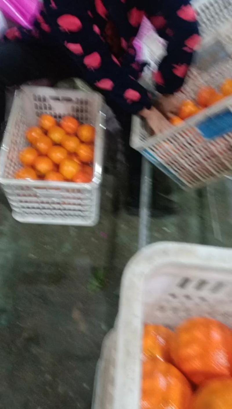 冰糖橙的甜蜜三峡秭归纽荷尔脐橙，长虹脐橙大个头，细皮嫩肉