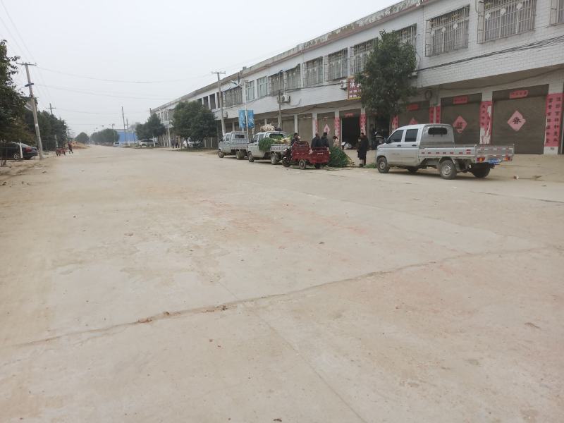 长白大葱黄葱沟葱白长味道好河南大葱南阳唐河县大河屯