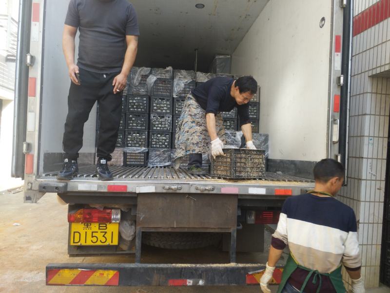 老传统工艺无铅溏心松花蛋三元一斤
