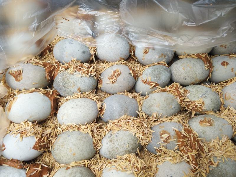 老传统工艺无铅溏心松花蛋三元一斤