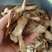 中药材/中药根茎类/肉苁蓉/阿拉善肉苁蓉鲜干片，整根条子