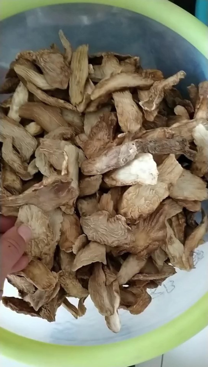 中药材/中药根茎类/肉苁蓉/阿拉善肉苁蓉鲜干片，整根条子