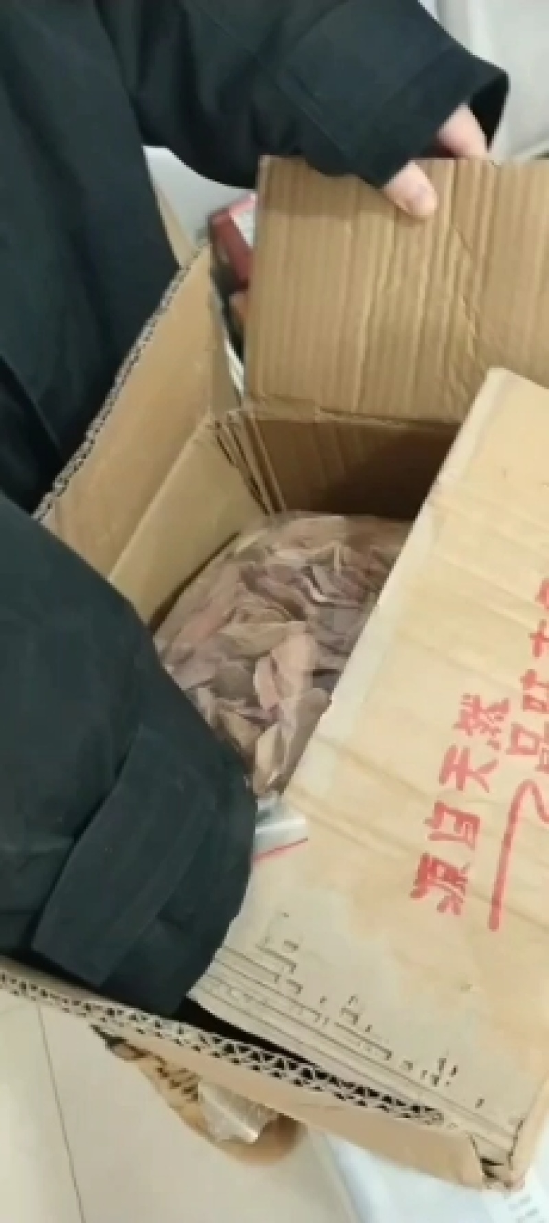 中药材/中药根茎类/肉苁蓉/阿拉善肉苁蓉鲜干片，整根条子