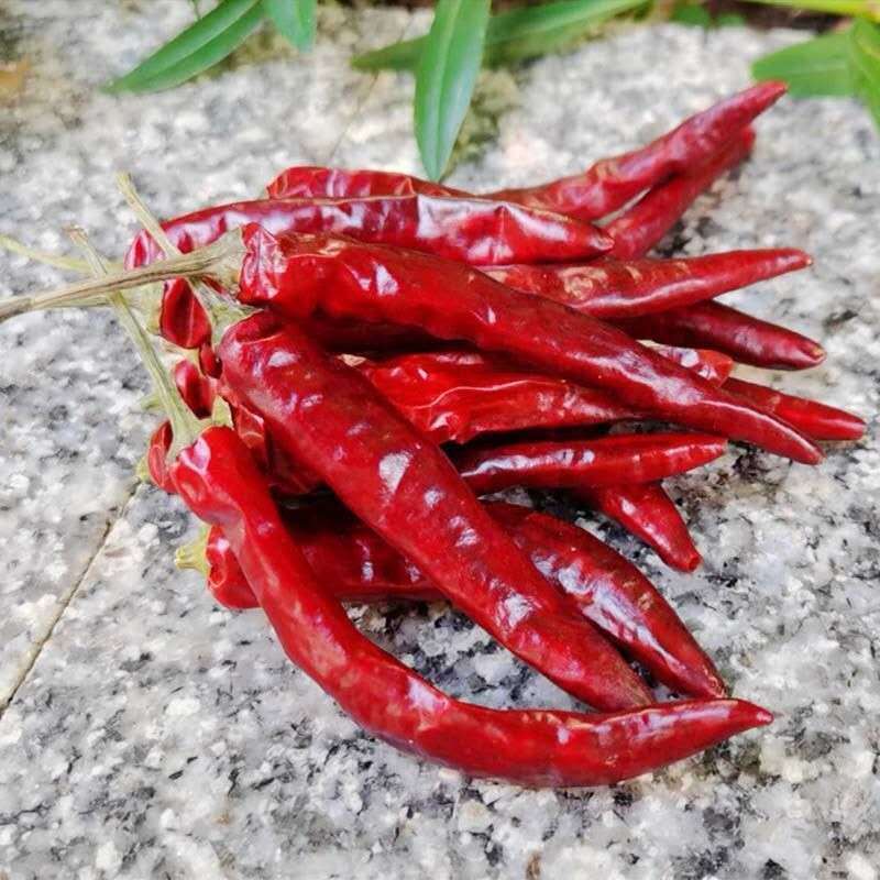 干辣椒朝天辣大艳红椒干辣椒