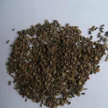 振兴药材批发供应茺蔚子产地山东茺蔚子产地价