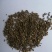振兴药材批发供应茺蔚子产地山东茺蔚子产地价