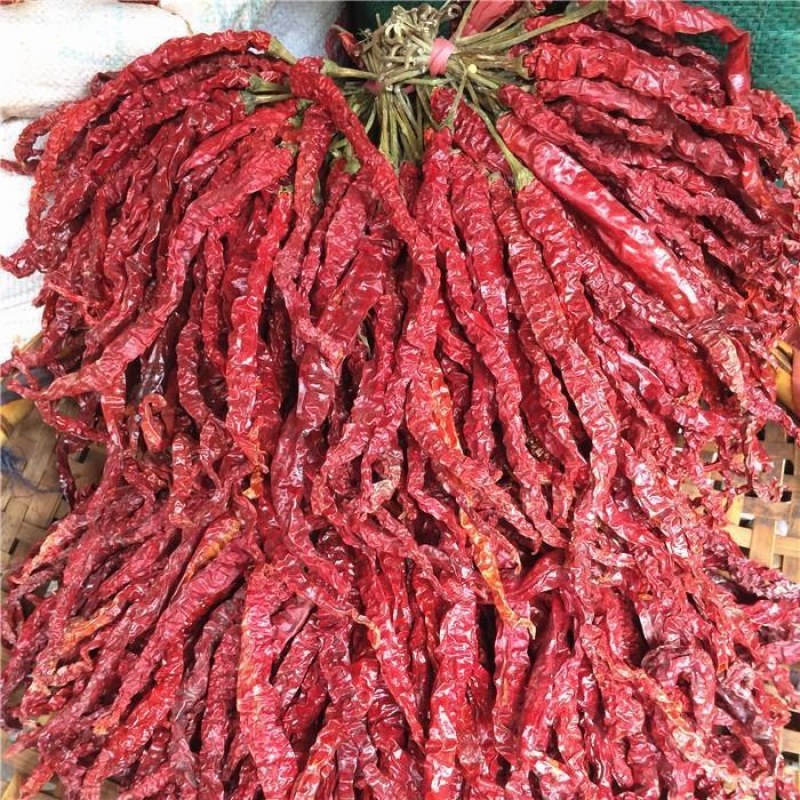 干辣椒二荆条三号硬皮线椒干辣椒