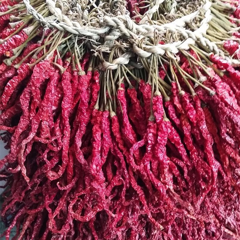干辣椒二荆条三号硬皮线椒干辣椒
