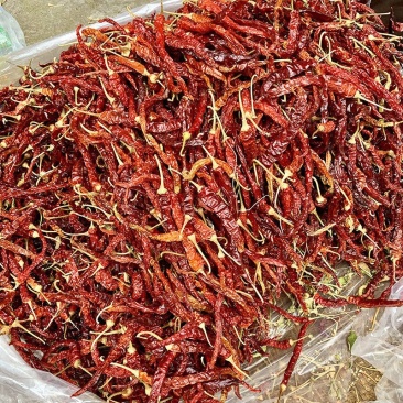 干辣椒二荆条三号硬皮线椒干辣椒