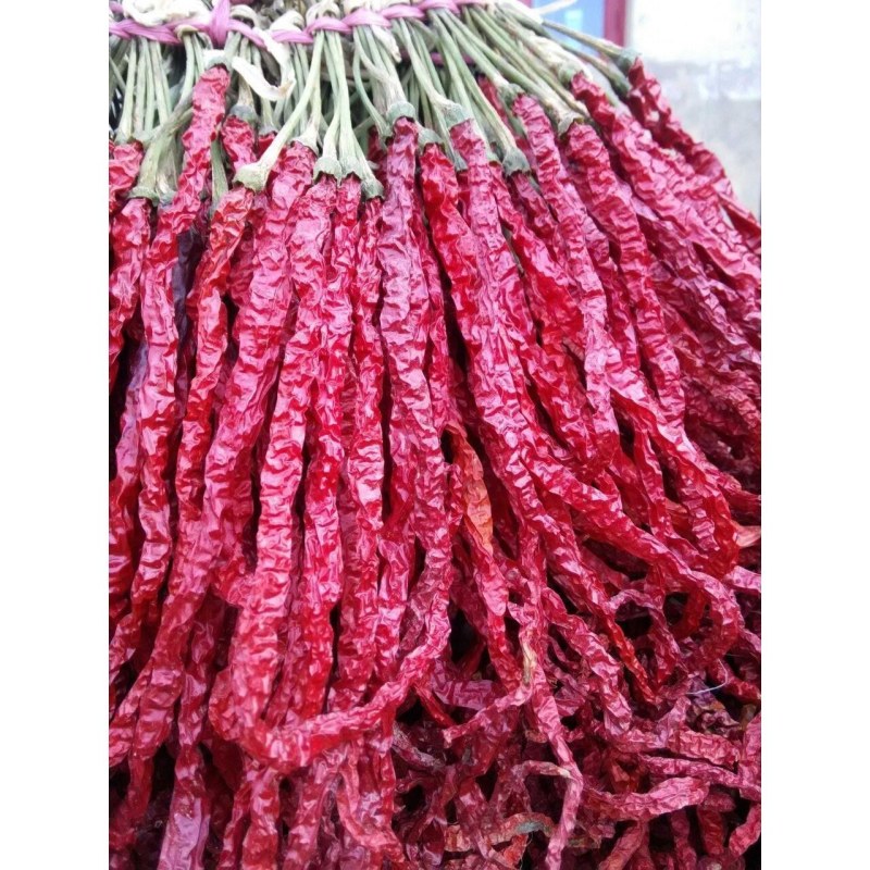 干辣椒二荆条三号硬皮线椒干辣椒
