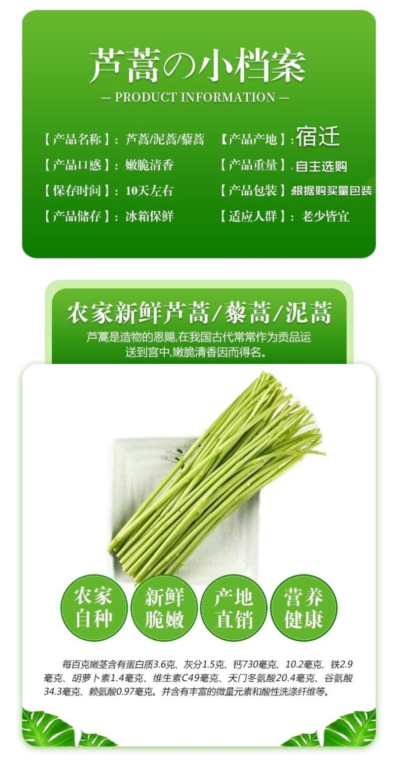 芦蒿宿迁现摘现发新鲜芦蒿