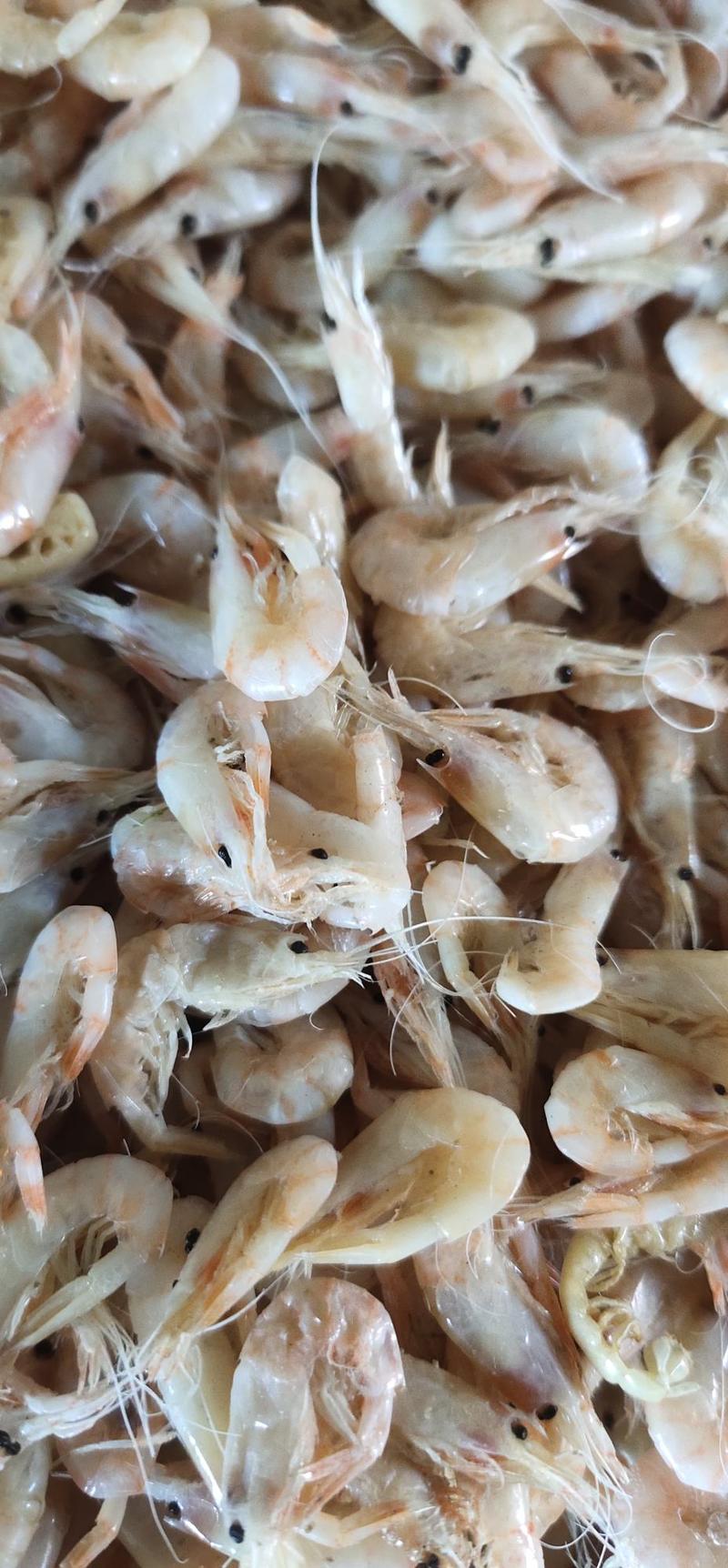 山东产地直发麦秆蹦蹦虾，麦穗虾，钩子虾，有亮度质量杠杠的