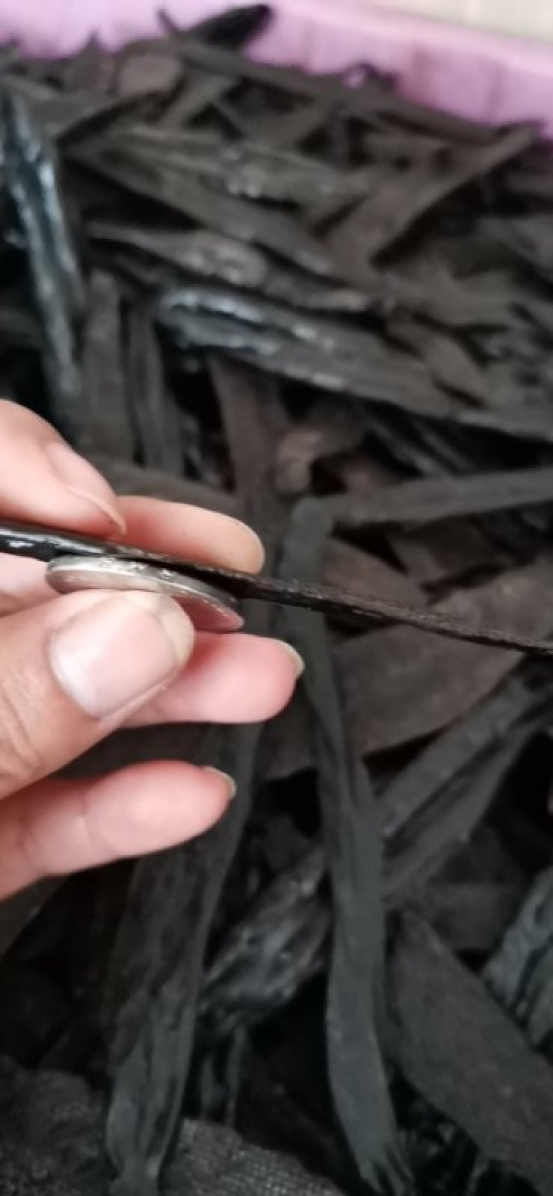 菲牛蛭水蛭干吸血鬼一个半硬币厚一手货源专业工厂加工