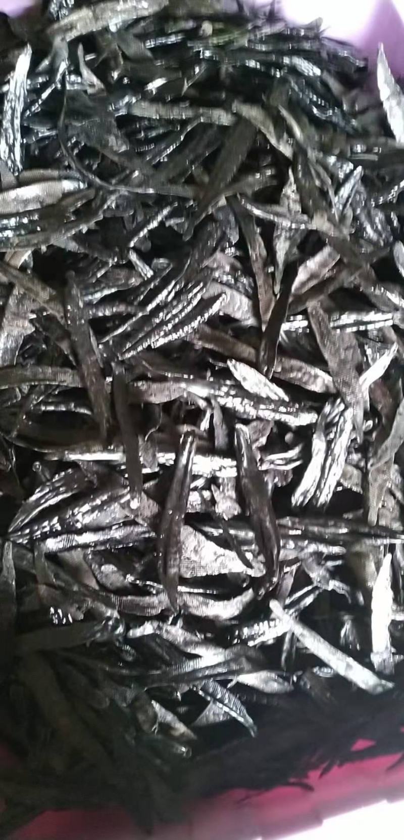 菲牛蛭水蛭干吸血鬼一个半硬币厚一手货源专业工厂加工