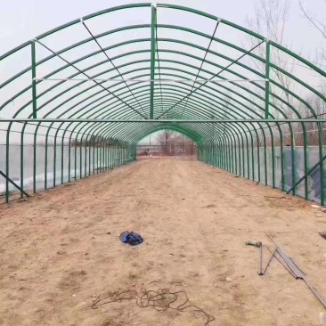 椭圆管包塑养殖大棚蔬菜基地专用大棚上门安装