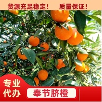 重庆-奉节脐橙-优质脐橙-专业代办-非赣南橙