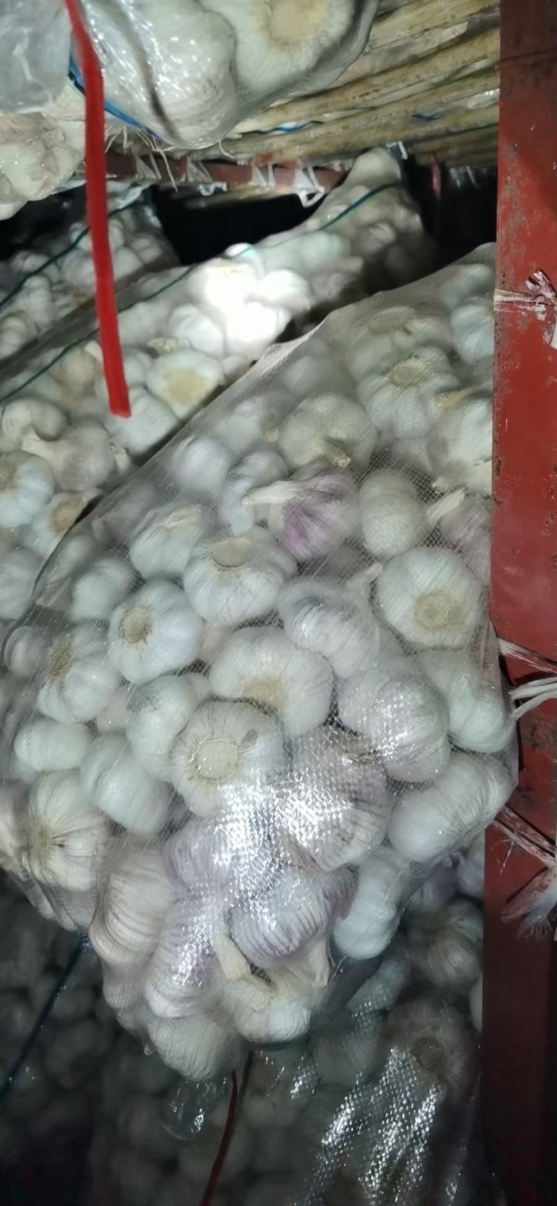 6.5/6.0/5-5.5/4.5等各种规格精品山东大蒜批发