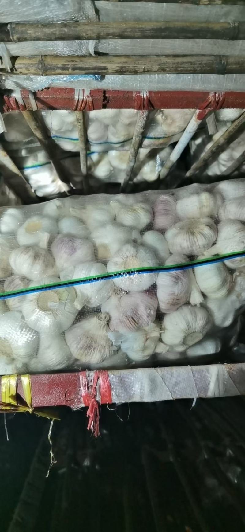 6.5/6.0/5-5.5/4.5等各种规格精品山东大蒜批发