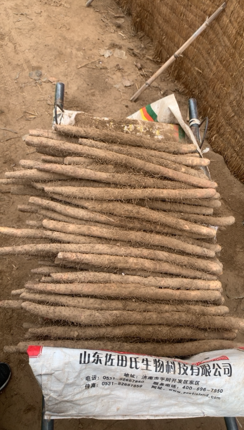 山药麻山药棒山药铁棍山药软绵价格便宜合作共赢
