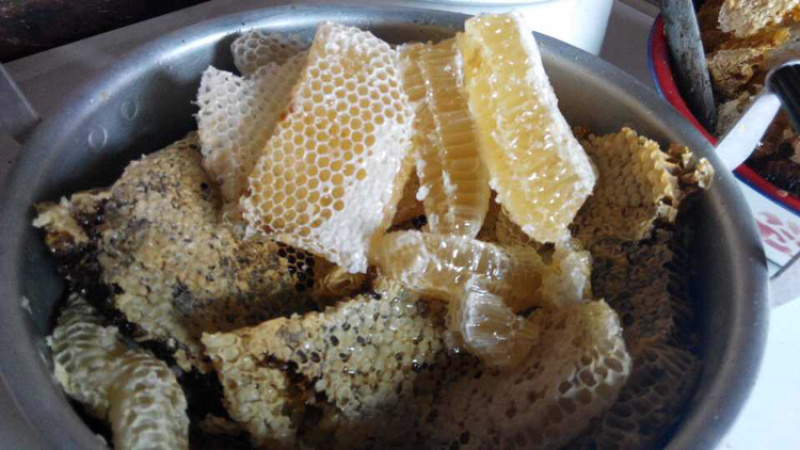 鸭脚木花蜜农家正宗土蜂蜜无添加冬蜜量大从优