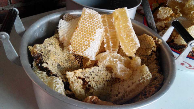 鸭脚木花蜜农家正宗土蜂蜜无添加冬蜜量大从优
