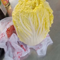 娃娃菜，黄心娃娃菜，品种体型好，大量上市