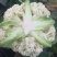 花菜三毛一斤，自营花菜基地，捆绑遮阳，个头均匀、白净。