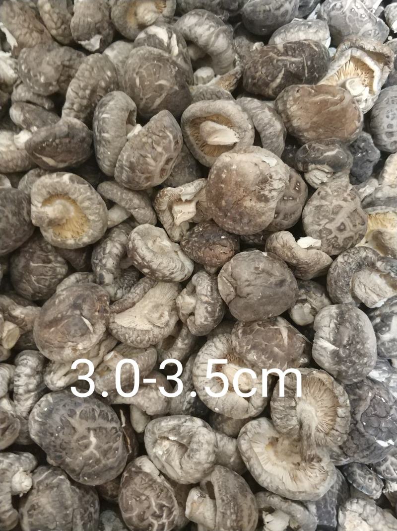 【随州干香菇/冬菇】品种齐全剪脚厚肉农家特产